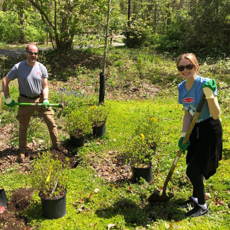 image of M&D employees volunteering doing gardening